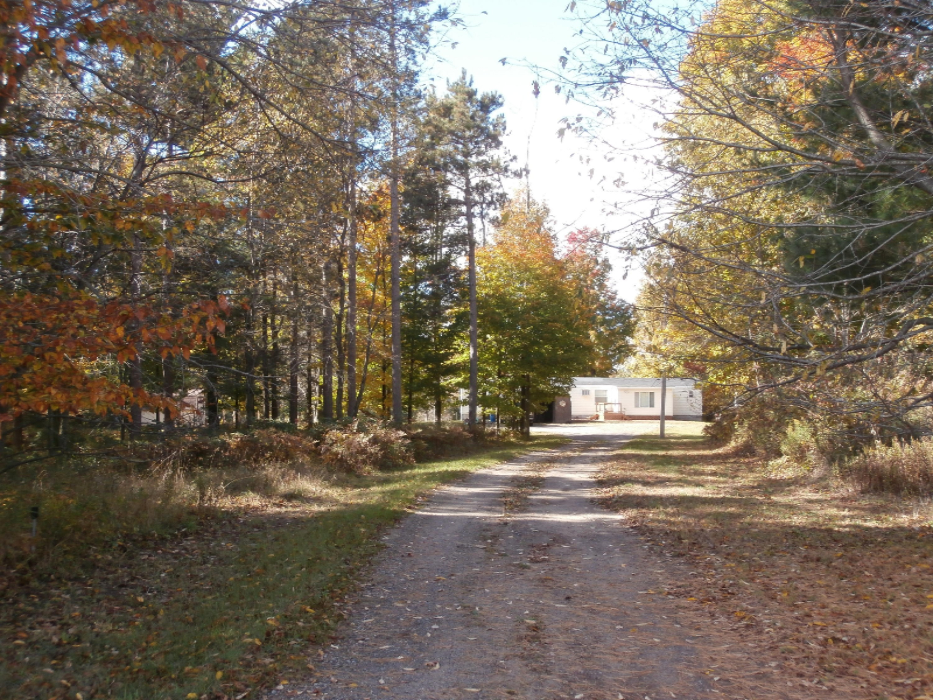 13676 Erdman Road Arcadia, MI 49613 - Photo 1 of 43 P1010673