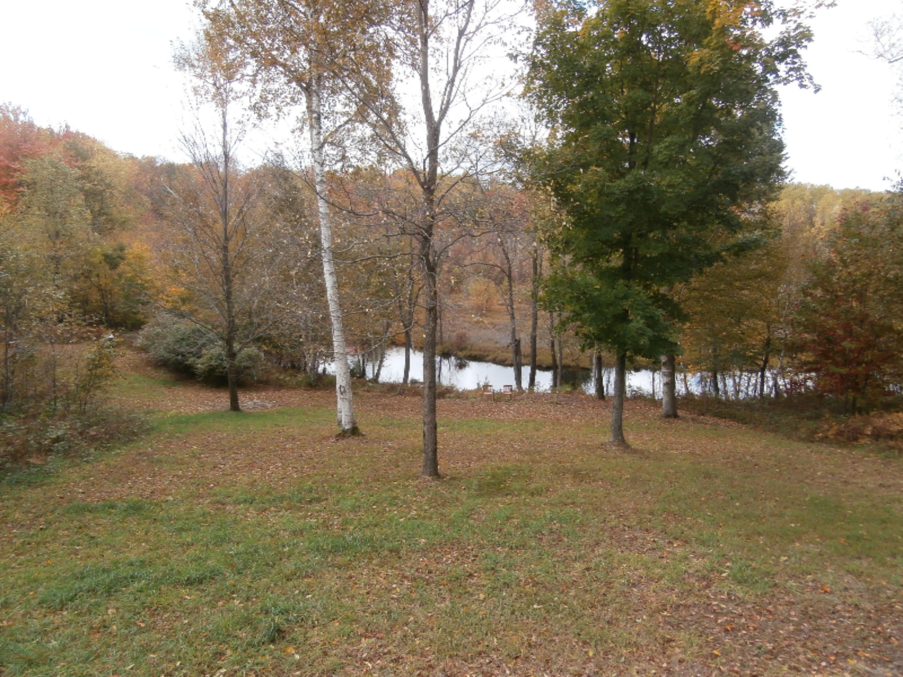 13676 Erdman Road Arcadia, MI 49613 - Photo 3 of 43 P1010684