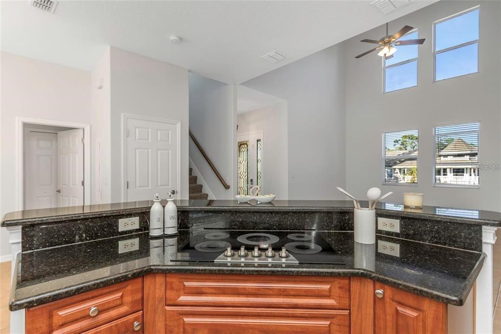 7327 Brightwaters Court New Port Richey, FL 34652 - Photo 12 of 45