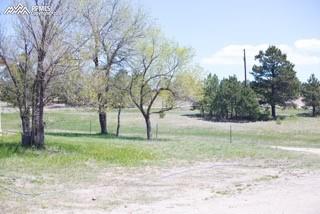 8445 Wildflower Road Colorado Springs, CO 80908 - Photo 10 of 19