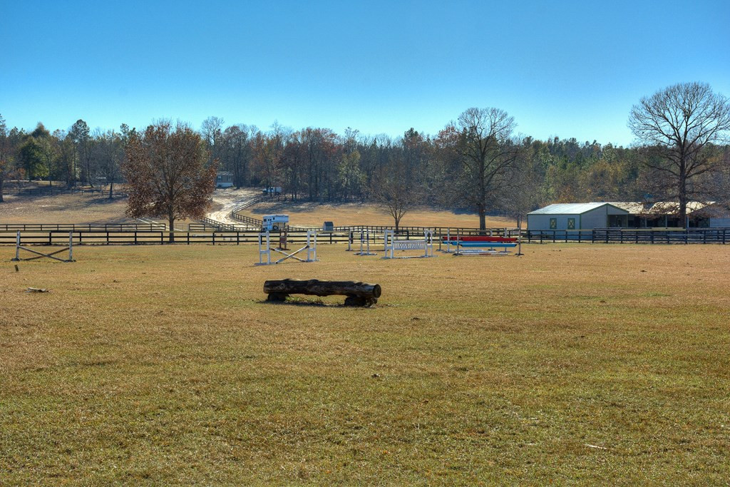 448 Long Cane Road Williston, SC 29853 - Photo 6 of 53