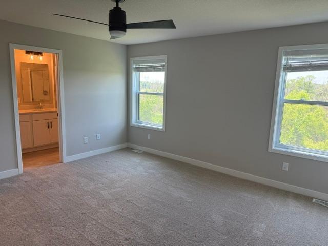 10547 Robinwood Road Chaska, MN 55318 - Photo 2 of 10