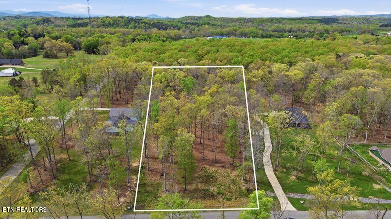 Peaceful Point Dandridge, TN 37725 - Photo 11 of 28 1-web-or-mls-6f40705b-8f40-4173-ab56-869