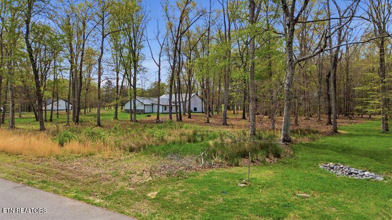 Peaceful Point Dandridge, TN 37725 - Photo 13 of 28 3-web-or-mls-DJI_0797