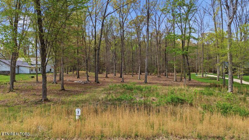 Peaceful Point Dandridge, TN 37725 - Photo 14 of 28 4-web-or-mls-DJI_0800