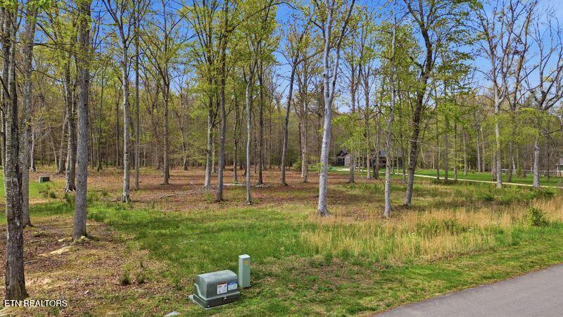Peaceful Point Dandridge, TN 37725 - Photo 15 of 28 5-web-or-mls-DJI_0803