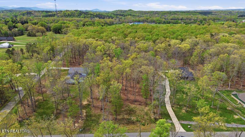 Peaceful Point Dandridge, TN 37725 - Photo 16 of 28 6-web-or-mls-DJI_0806