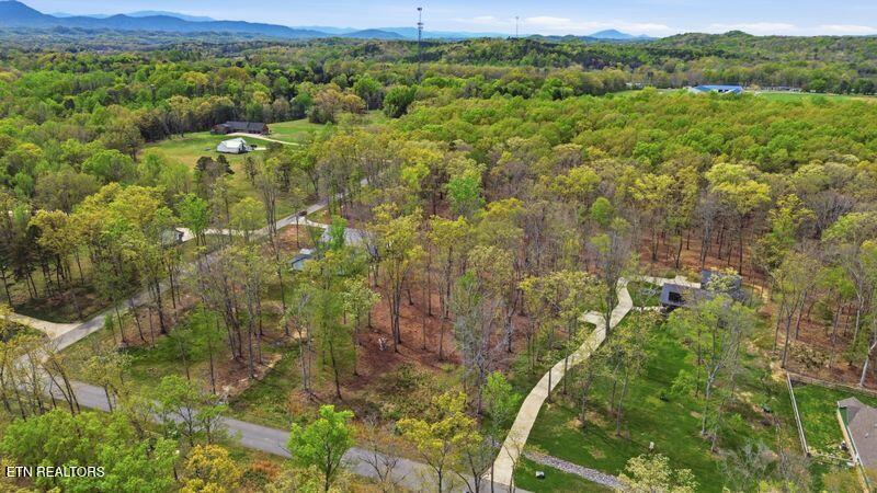 Peaceful Point Dandridge, TN 37725 - Photo 17 of 28 7-web-or-mls-DJI_0809