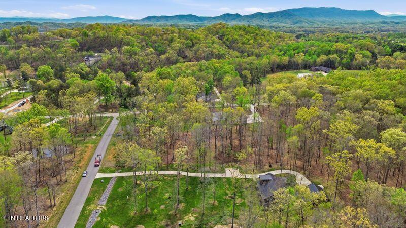 Peaceful Point Dandridge, TN 37725 - Photo 18 of 28 8-web-or-mls-DJI_0812