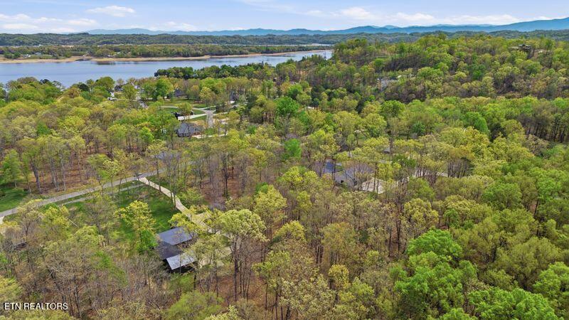 Peaceful Point Dandridge, TN 37725 - Photo 19 of 28 9-web-or-mls-DJI_0815