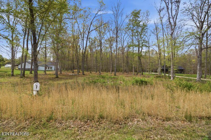 Peaceful Point Dandridge, TN 37725 - Photo 2 of 28 22-web-or-mls-DZ3A0405