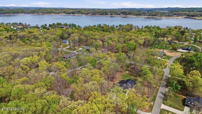 Peaceful Point Dandridge, TN 37725 - Photo 21 of 28 11-web-or-mls-DJI_0821