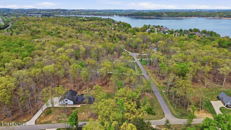 Peaceful Point Dandridge, TN 37725 - Photo 22 of 28 12-web-or-mls-DJI_0827