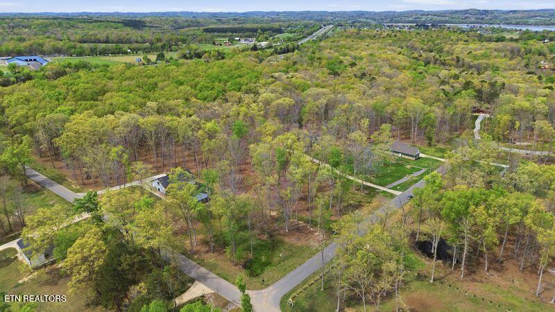 Peaceful Point Dandridge, TN 37725 - Photo 23 of 28 13-web-or-mls-DJI_0830