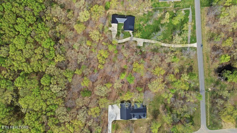 Peaceful Point Dandridge, TN 37725 - Photo 25 of 28 15-web-or-mls-DJI_0839