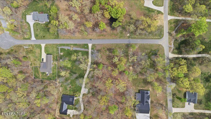 Peaceful Point Dandridge, TN 37725 - Photo 26 of 28 16-web-or-mls-DJI_0845