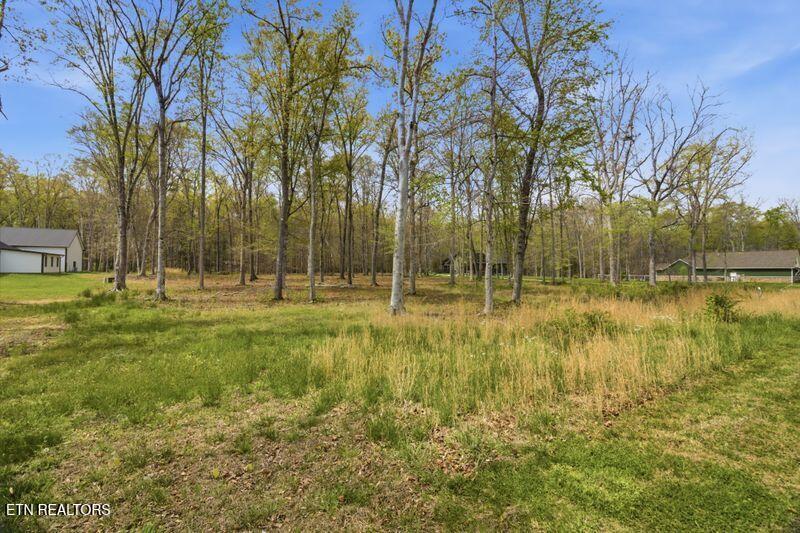 Peaceful Point Dandridge, TN 37725 - Photo 3 of 28 23-web-or-mls-DZ3A0409