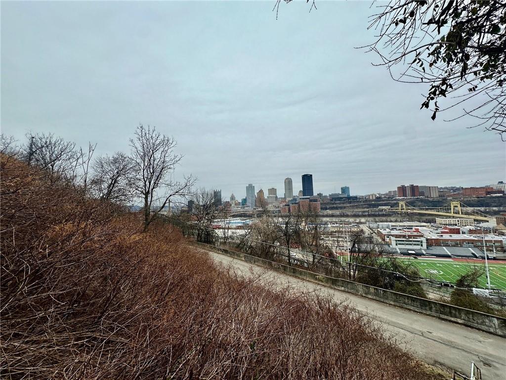 0 Windom Street Pittsburgh, PA 15203 - Photo 13 of 13 a view of a city