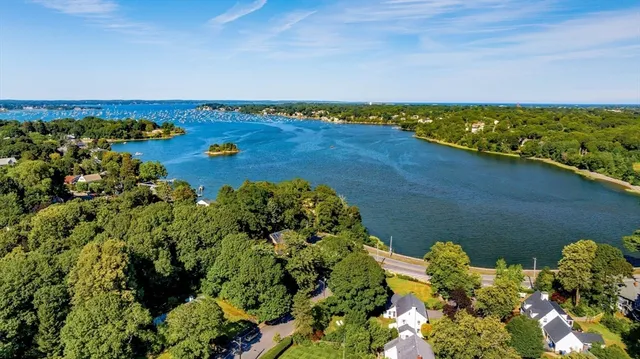 a view of a lake with a city