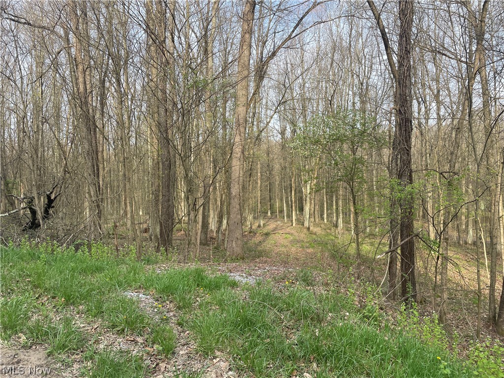 2073 Lilly Road Northwest Minerva, OH 44657 - Photo 2 of 6