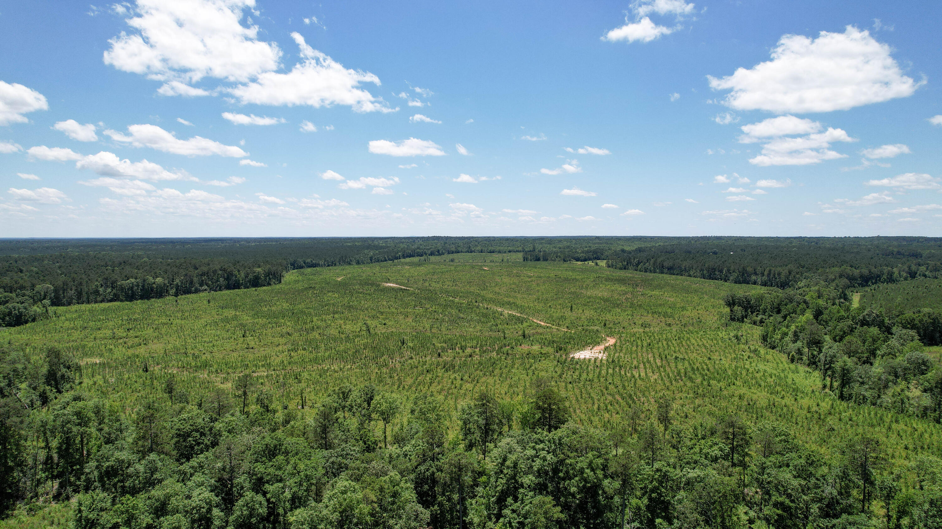 Tbd Tbd Us-378 McCormick, SC 29835 - Photo 7 of 15