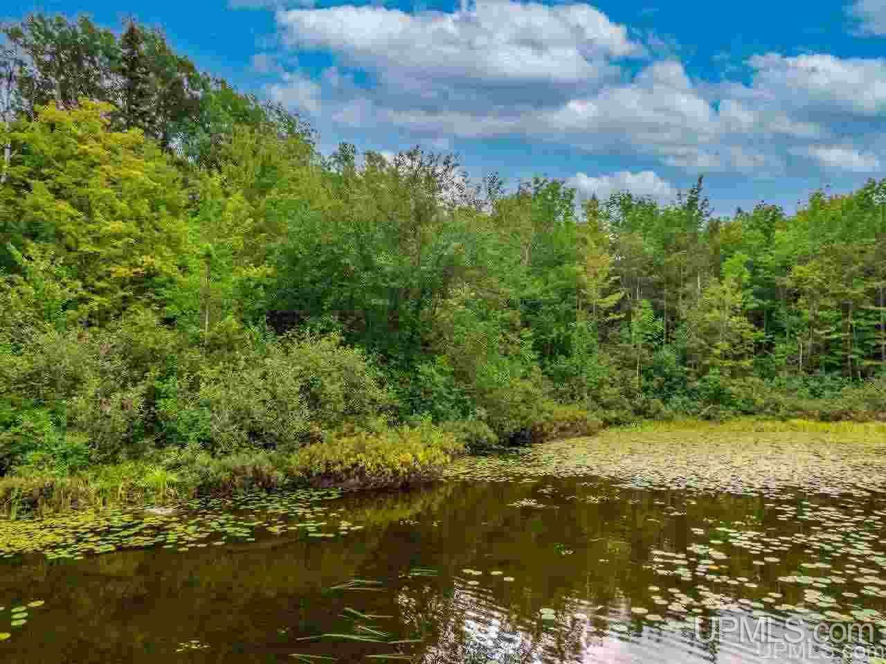 On On Chaney Lake Road Wakefield, MI 49968 - Photo 15 of 18