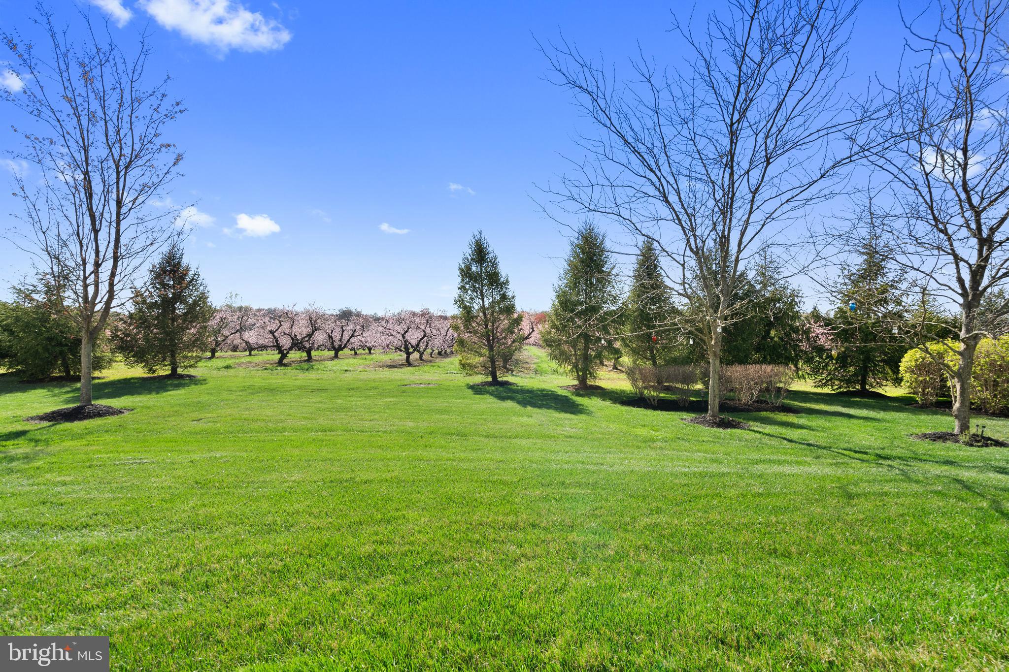 118 Field Loop Glassboro, NJ 08028 - Photo 32 of 51 a view of a park with large trees