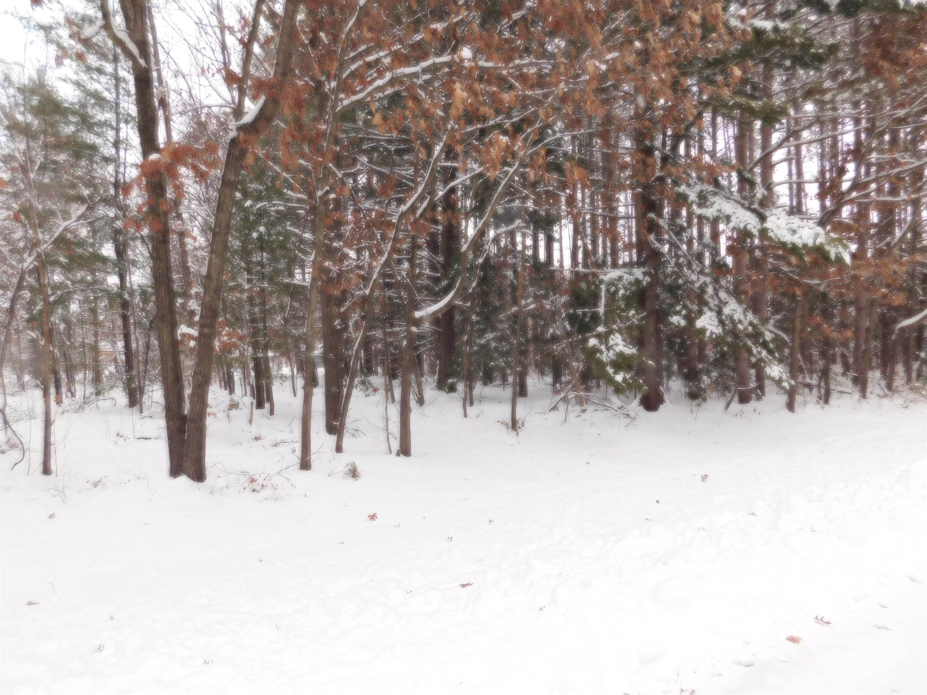 E4034 Steven Way Spring Green, WI 53588 - Photo 6 of 14