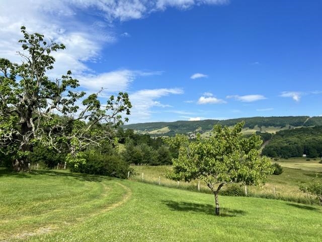 8808 Blue Grass Valley Road Monterey, VA 24465 - Photo 2 of 5 a view of a garden with a tree