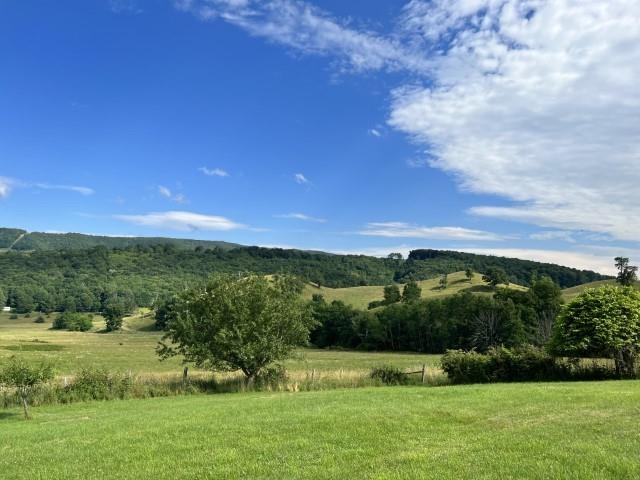 8808 Blue Grass Valley Road Monterey, VA 24465 - Photo 3 of 5 a view of a city with lush green forest