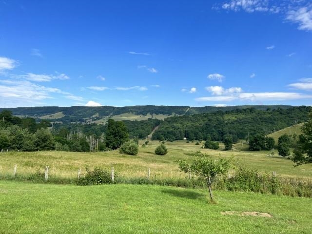 8808 Blue Grass Valley Road Monterey, VA 24465 - Photo 4 of 5 a view of a lush green field