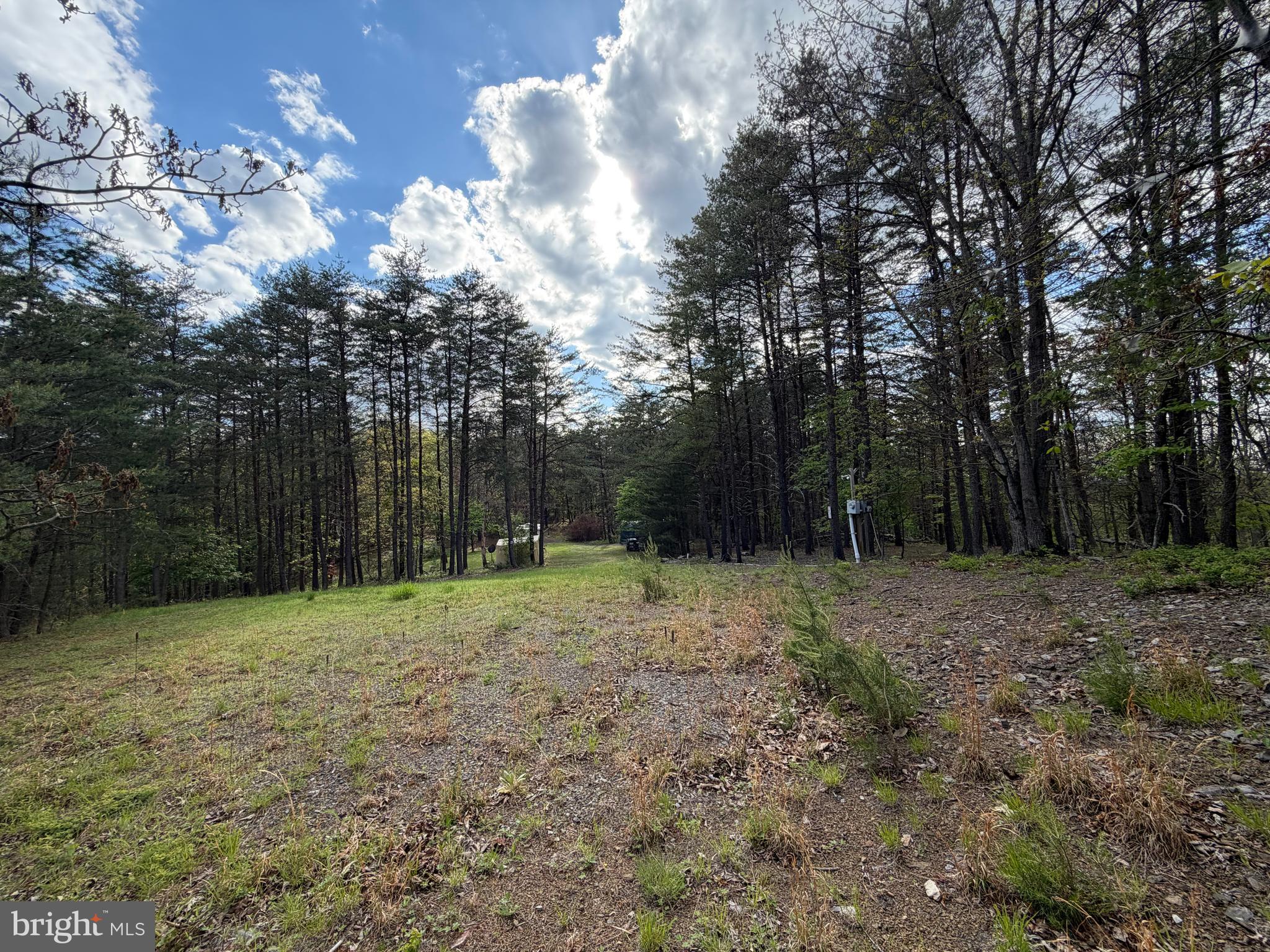Green Ridge Dr Green Spring Springfield, WV 26763 - Photo 20 of 36