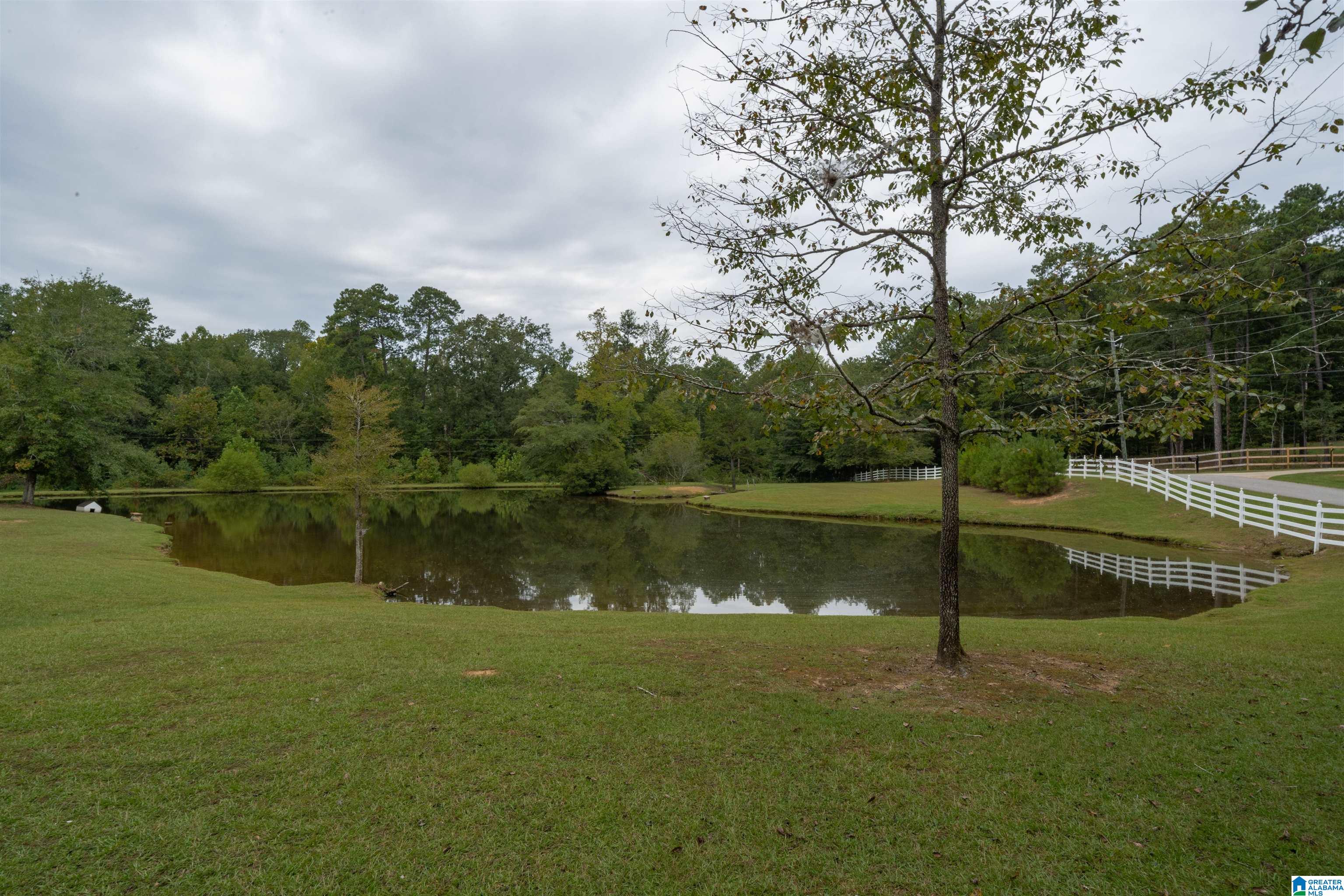 486 Whisenhunt Road Chelsea, AL 35043 - Photo 3 of 47
