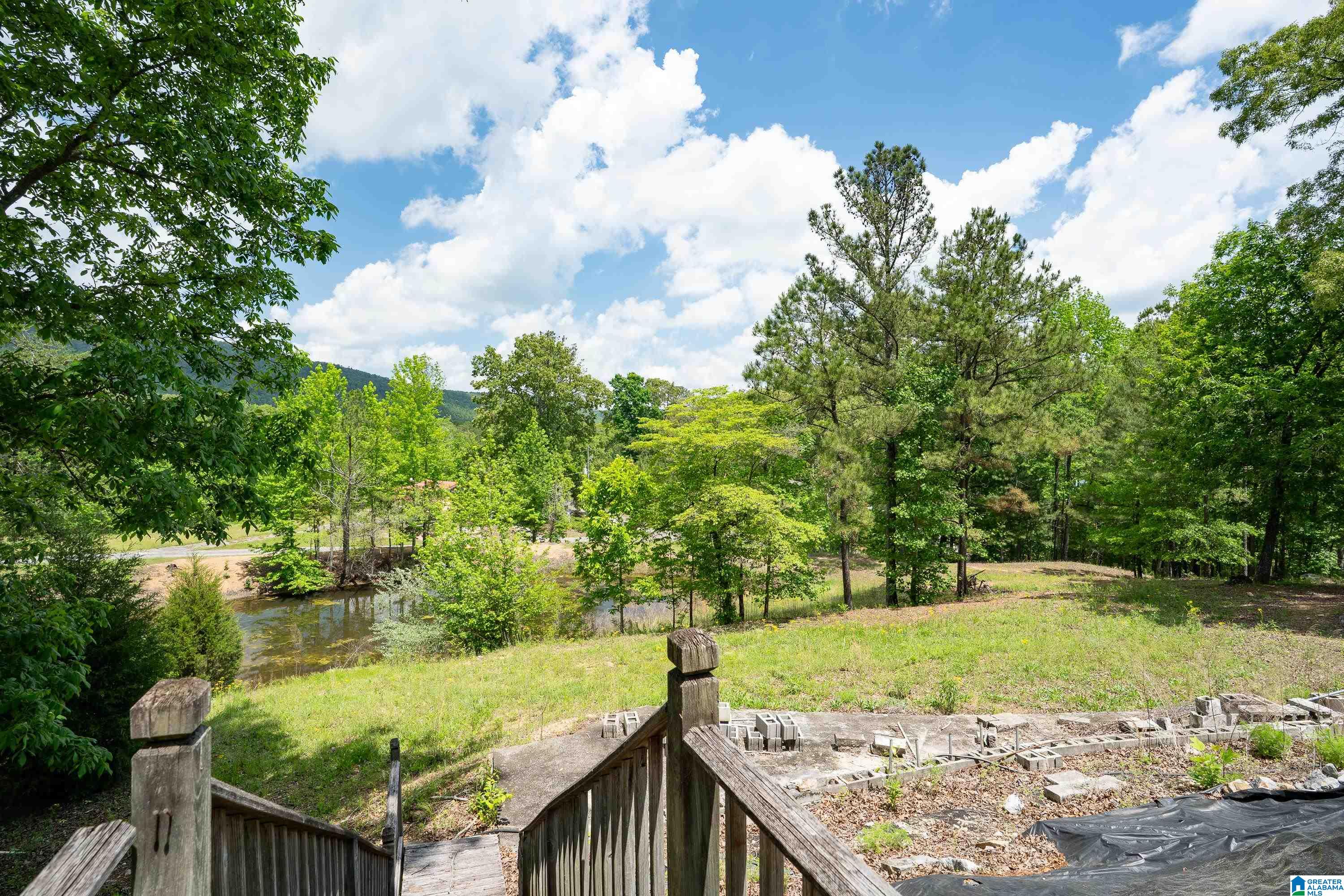 297 Cain Road Chelsea, AL 35043 - Photo 2 of 33