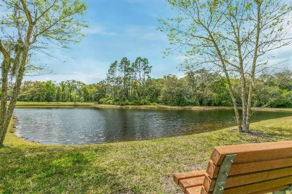 a view of a lake with a yard and large trees