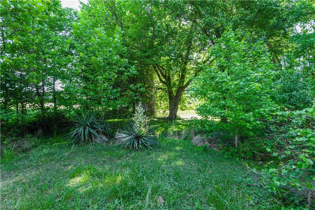 1402 Oak Ridge Road Kernersville, NC 27284 - Photo 26 of 28 Backyard