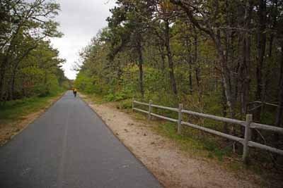 8 Dundee Circle Harwich, MA 02645 - Photo 27 of 28 a view of a pathway with a wrought fence