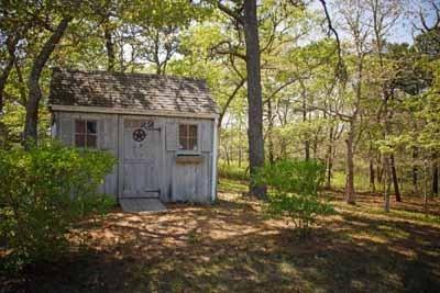 8 Dundee Circle Harwich, MA 02645 - Photo 5 of 28 a view of outdoor space and yard