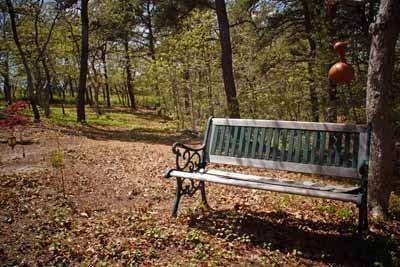 8 Dundee Circle Harwich, MA 02645 - Photo 6 of 28 a view of a backyard with wooden fence and a bench