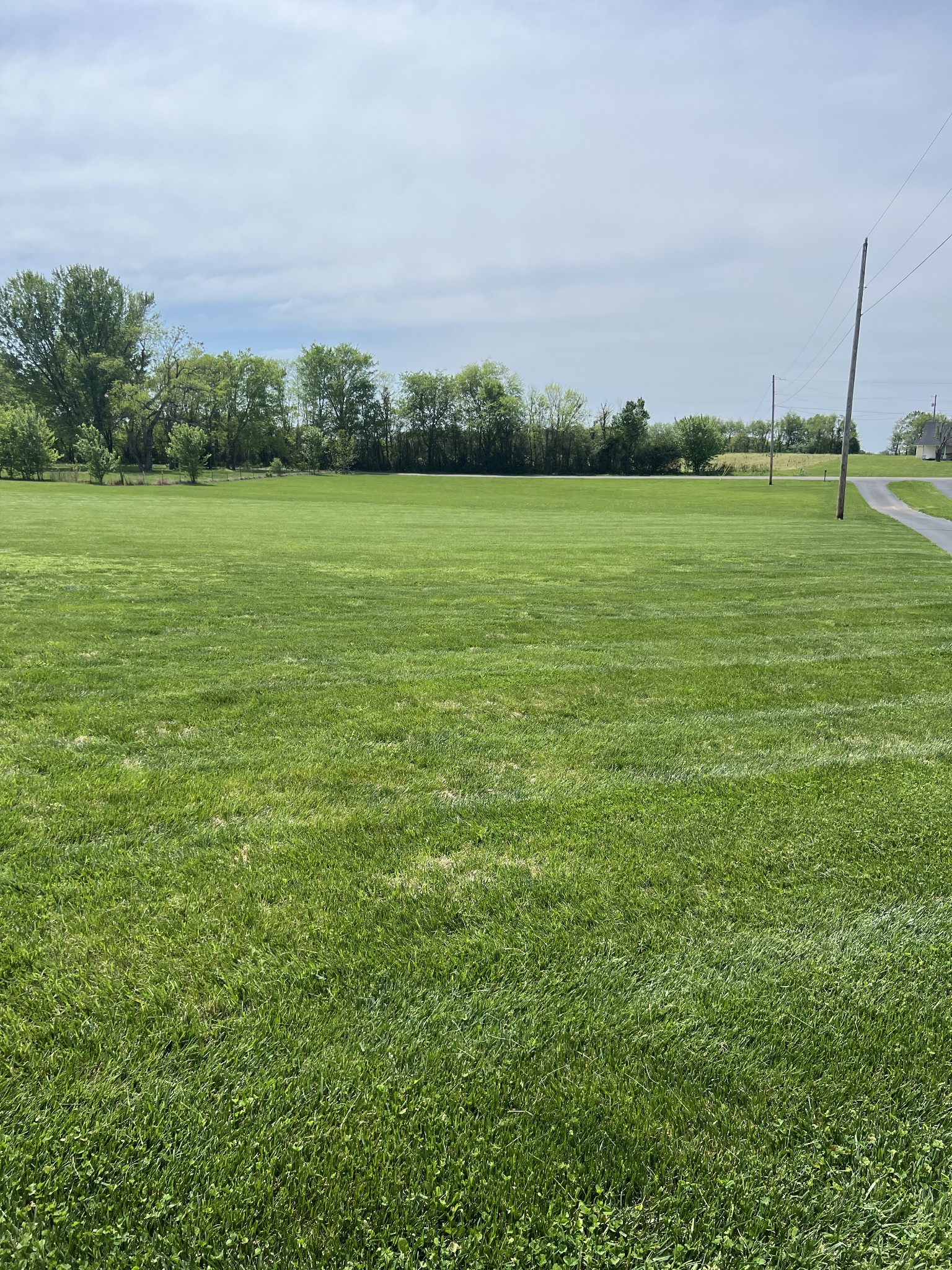 546 Corinth Road Portland, TN 37148 - Photo 3 of 37 a view of a grassy field with an trees