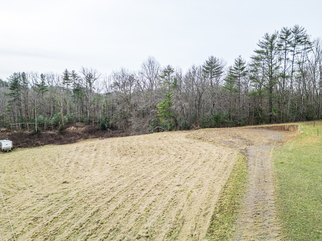 1098 Rowland Hill Road Marble, NC 28905 - Photo 12 of 26