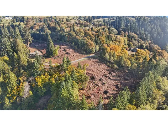 a black and white photo of a house