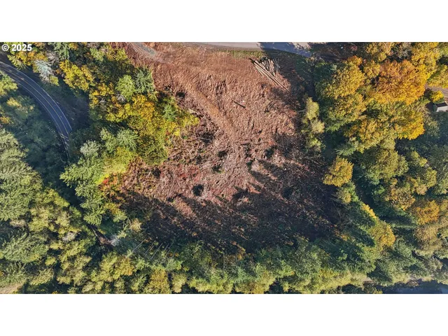 a black and white photo of a house