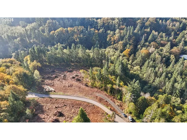 a black and white photo of a house