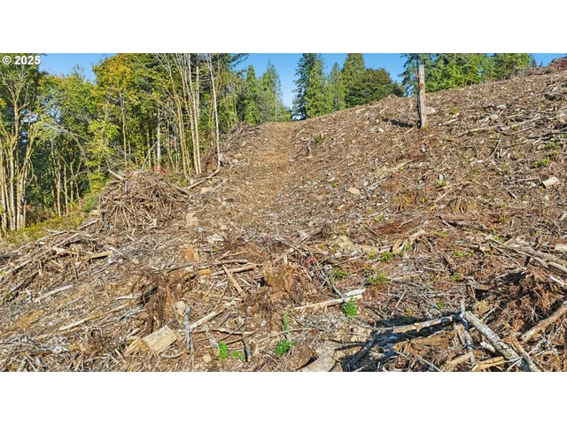 a black and white photo of a house