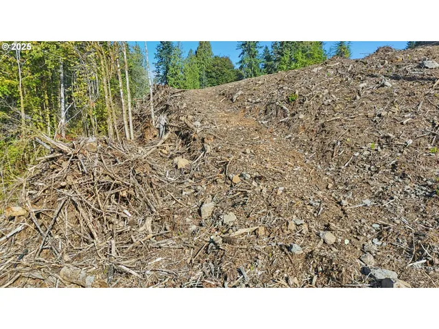 a open area with a yard