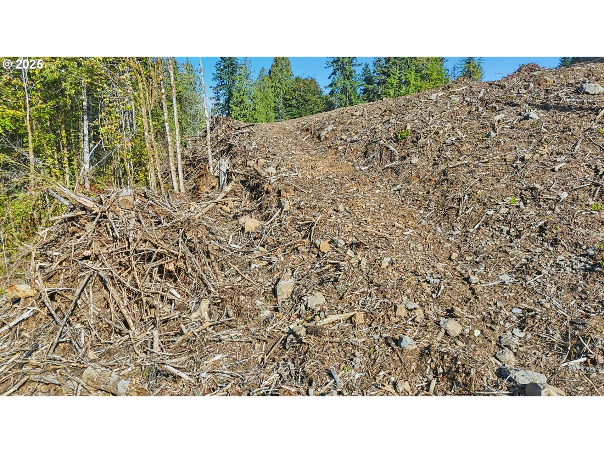 0 Whitewater Road, Unit 13 Longview, WA 98632 - Photo 8 of 17 a open area with a yard