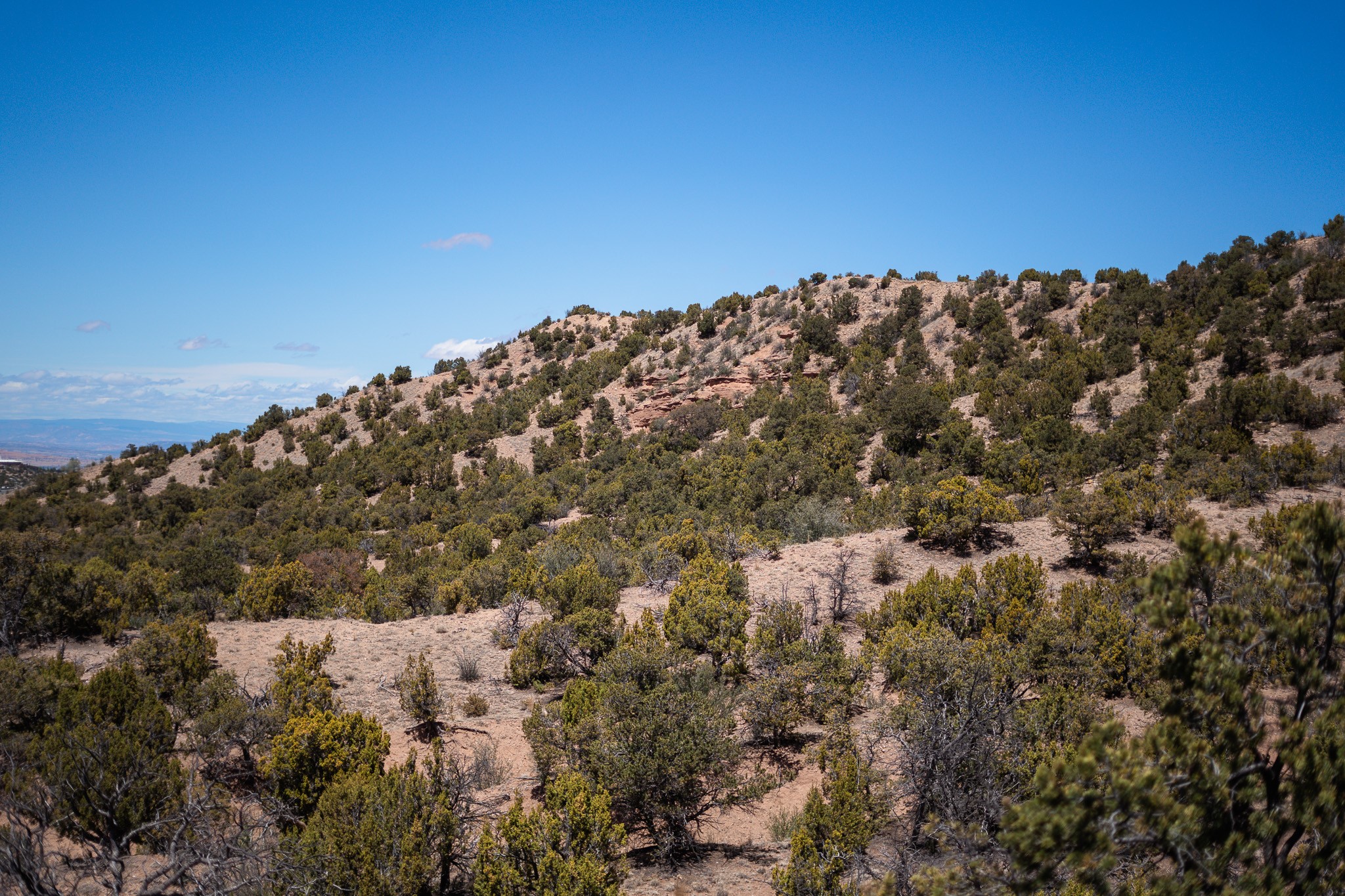 67-acres Red Ridge Santa Fe, NM 87501 - Photo 28 of 40 North Lot