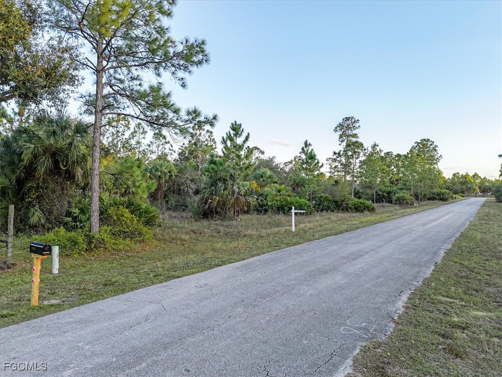 2310 Louis Avenue Alva, FL 33920 - Photo 8 of 32