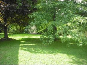 2525 West Nicholson Road Factoryville, PA 18419 - Photo 14 of 16